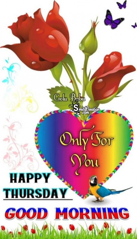 Happy Thursday Good Morning Only For You