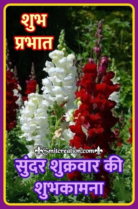 Shubh Prabhat Sundar Shukravar Ki Shubhkamnaye