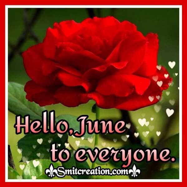 Hello, June To Everyone.