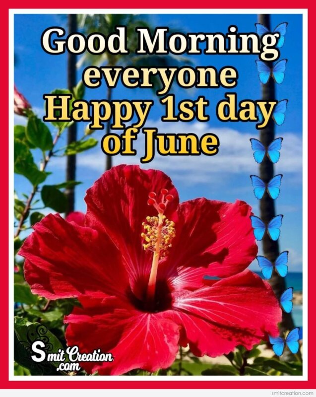Good Morning Everyone Happy 1st day of June - SmitCreation.com