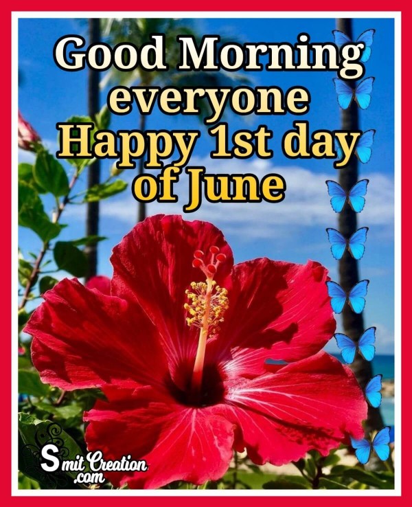 Good Morning Everyone Happy 1st day of June