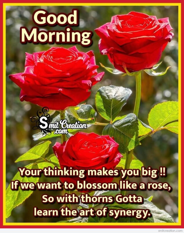 Good Morning Quote Message With Rose - SmitCreation.com