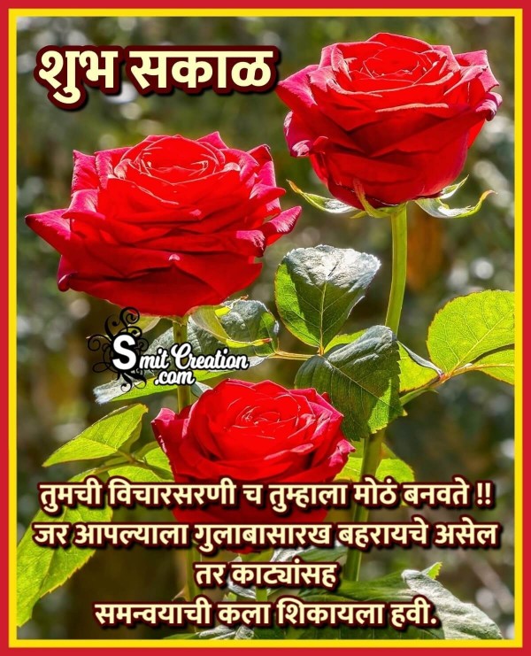 Shubh Sakal Suvichar Message With Rose