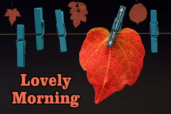 Lovely Morning Autumn Leaf