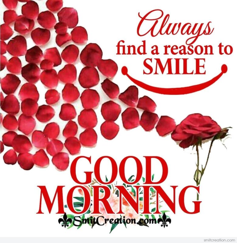 Good Morning Smile And Be happy Pics 2023  Good Morning Images Quotes  Wishes Messages greetings  eCards