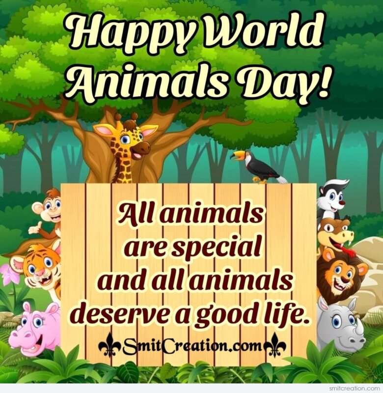 Best World Animals Day Image 