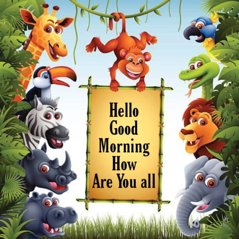 Hello Good Morning How Are You All - SmitCreation.com