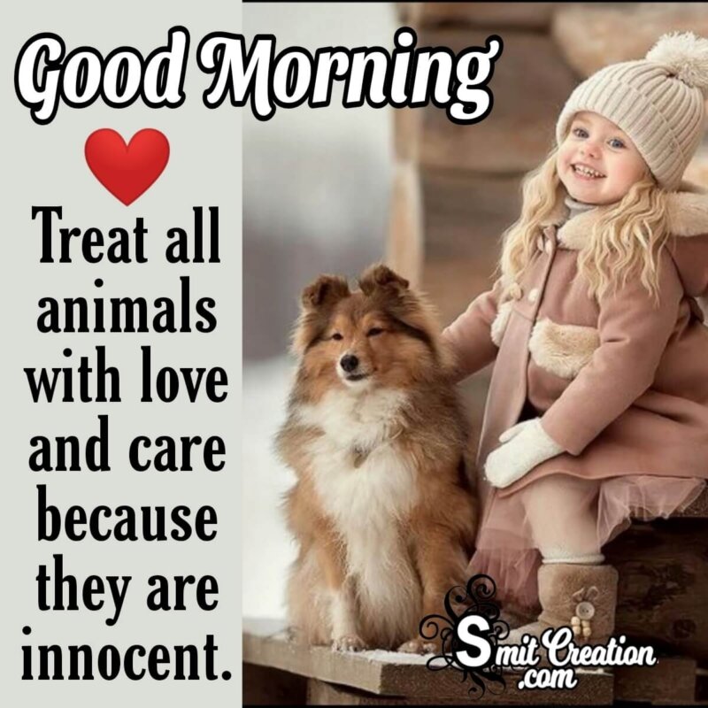 Good Morning Animals Are Innocent 