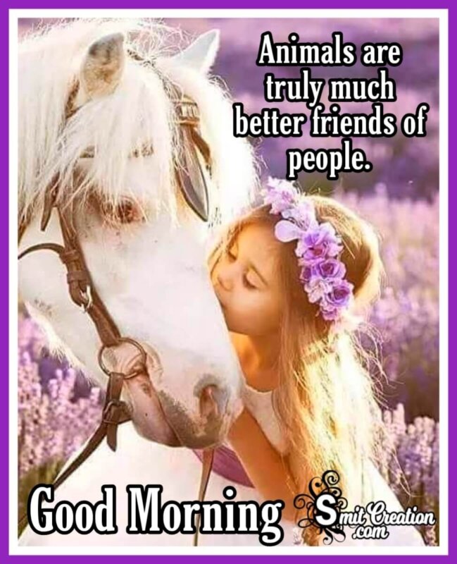 Good Morning Animal Are Better Friends - SmitCreation.com