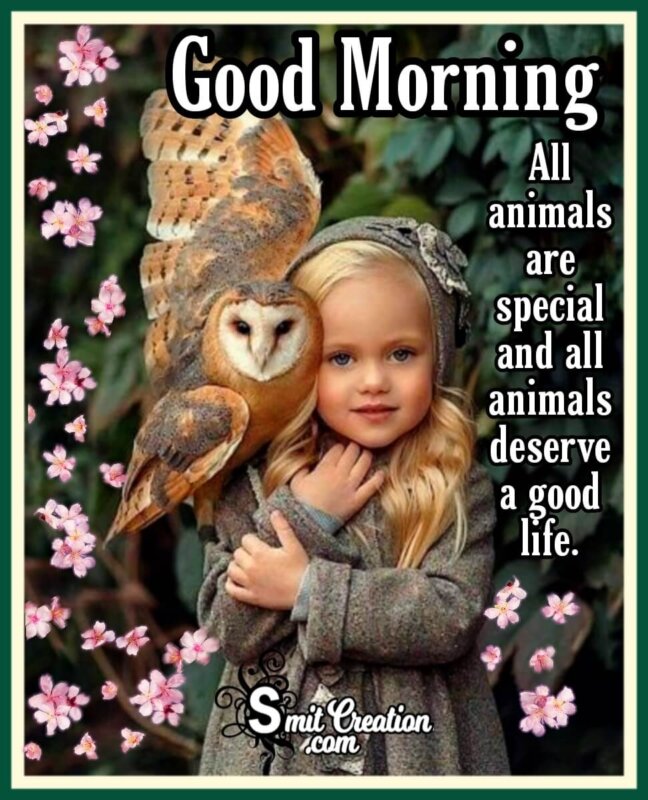 Good Morning Animal Are Special 