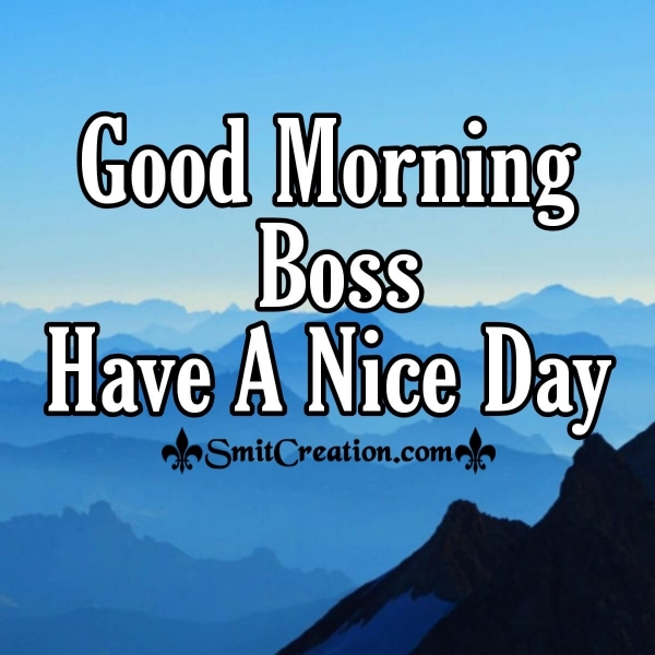 Good Morning Boss Have A Nice Day
