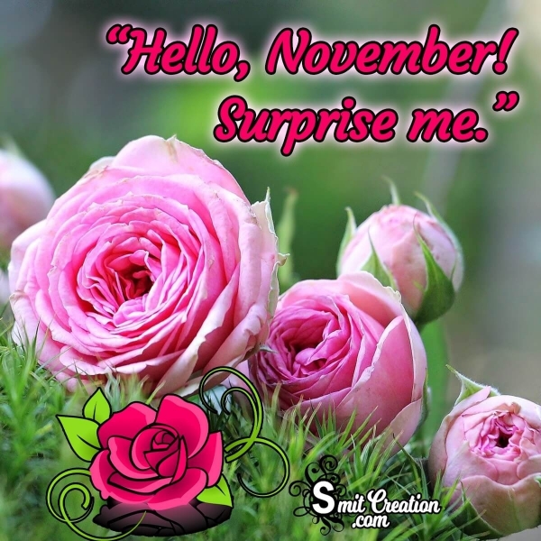 Hello November Surprise Me