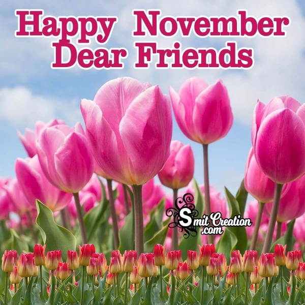 Happy November Dear Friends