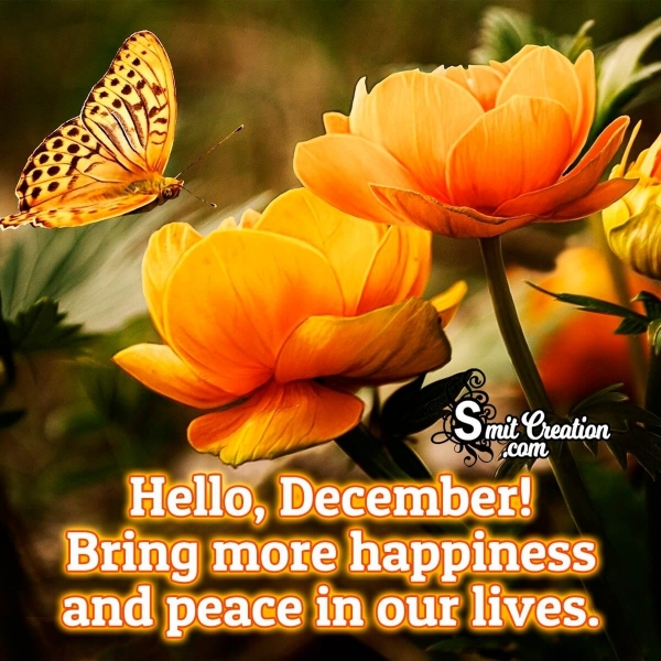 Hello, December! Bring More Happiness