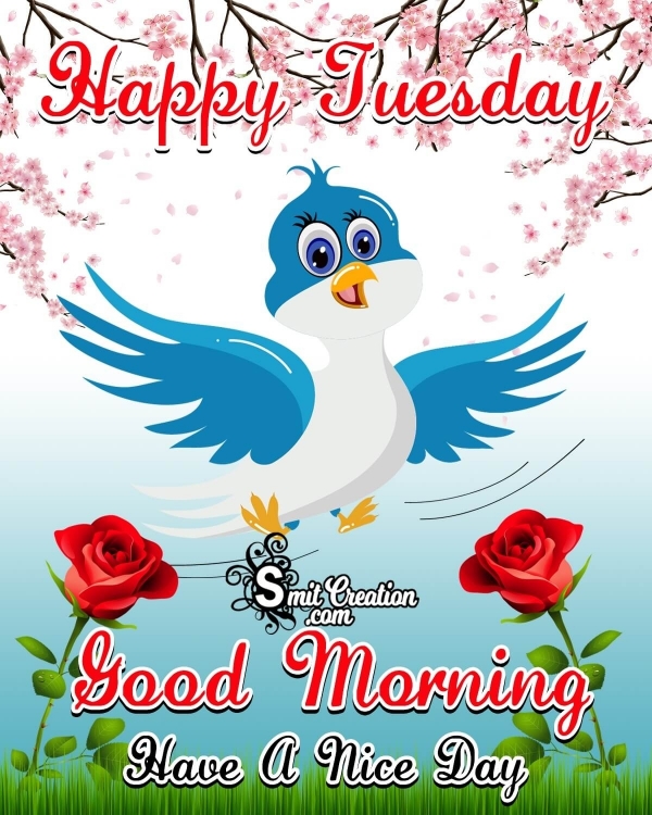 Happy Tuesday Good Morning Blue Bird