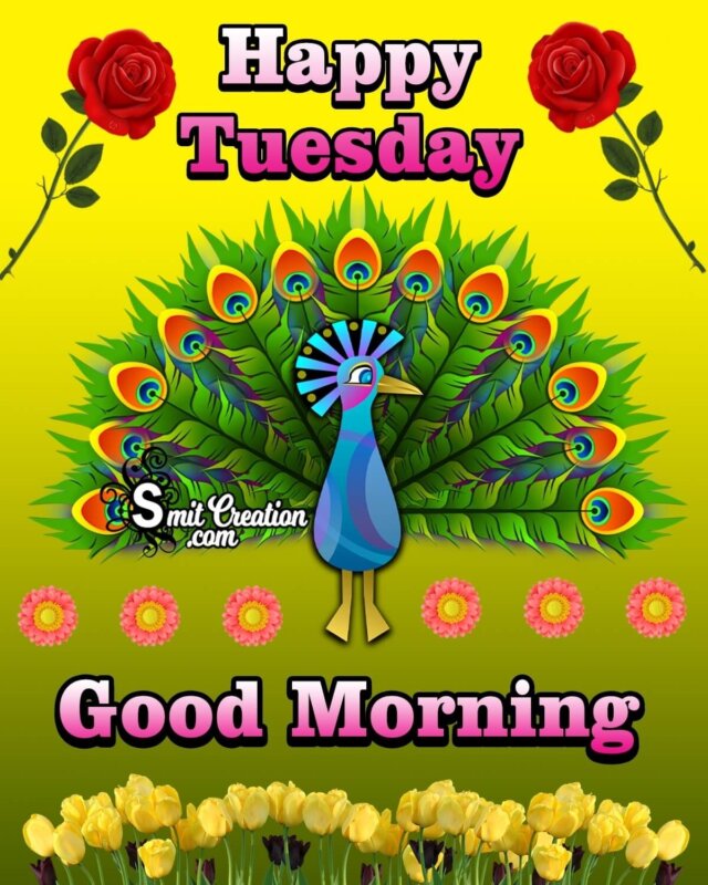 Happy Tuesday Good Morning Image - SmitCreation.com