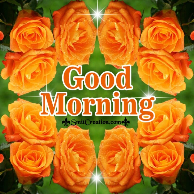 Good Morning Rose Images - SmitCreation.com