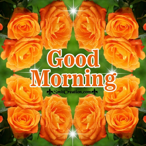 Good Morning Rose Images