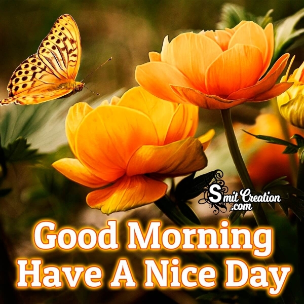 Good Morning Flowers Images