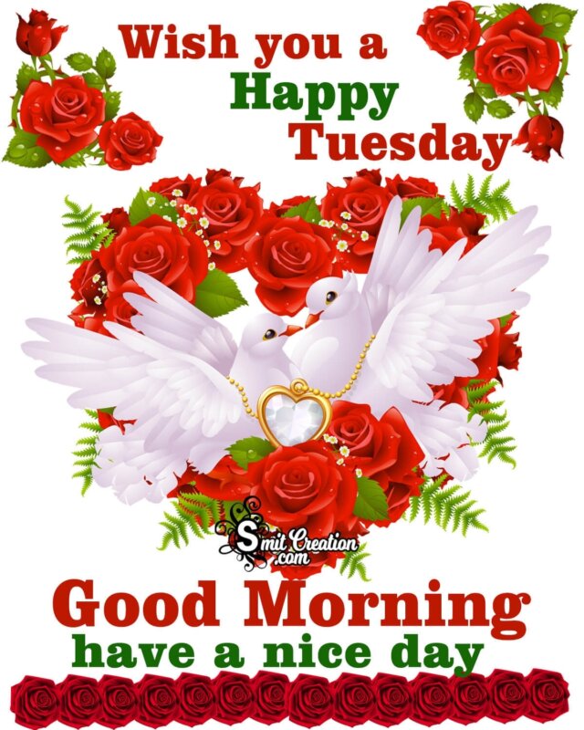 Wish You A Happy Tuesday Good Morning - SmitCreation.com