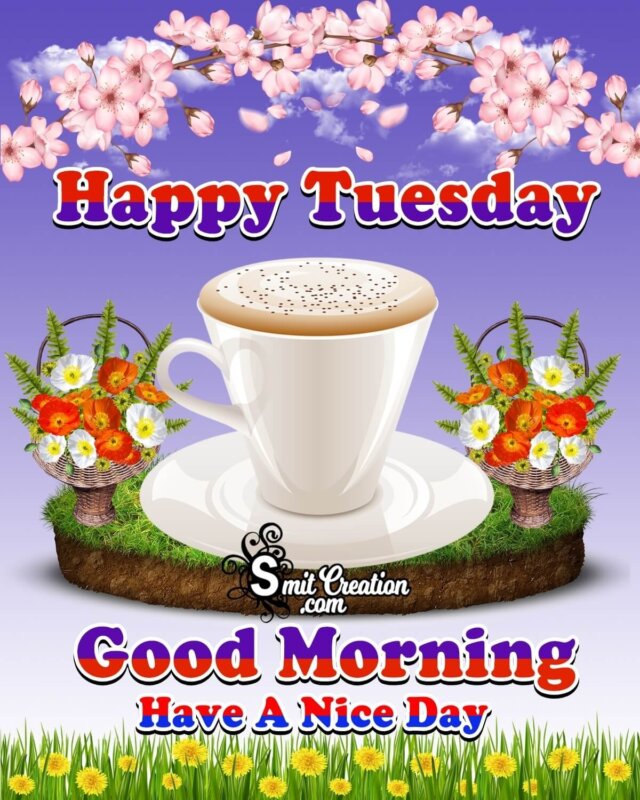 Good Morning Happy Tuesday Tea Cup - SmitCreation.com