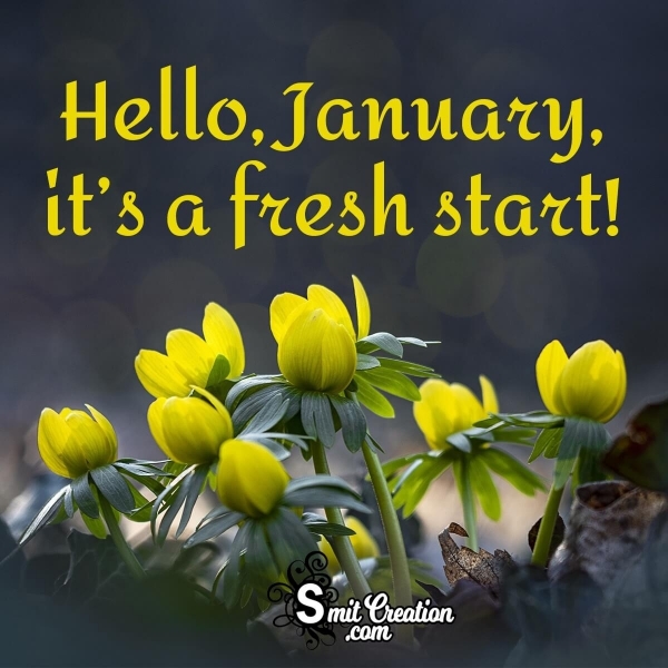 Hello, January