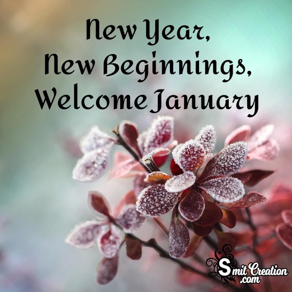 New Year, New Beginnings, Welcome January