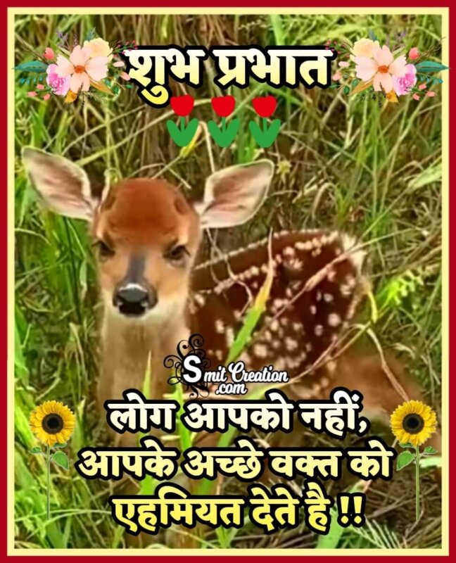 Whatsapp Good Morning Suvichar - SmitCreation.com
