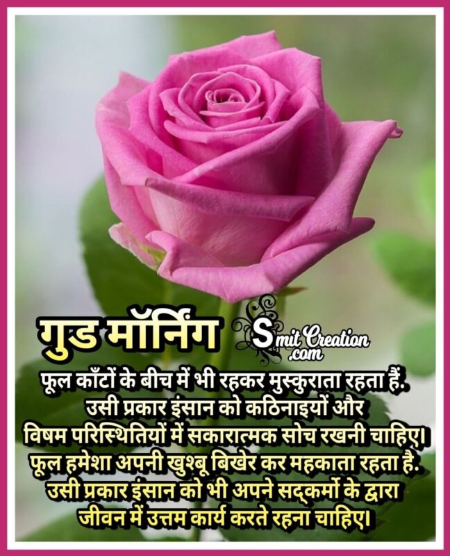 Good Morning Flower Shayari Quotes Images In Hindi - SmitCreation.com
