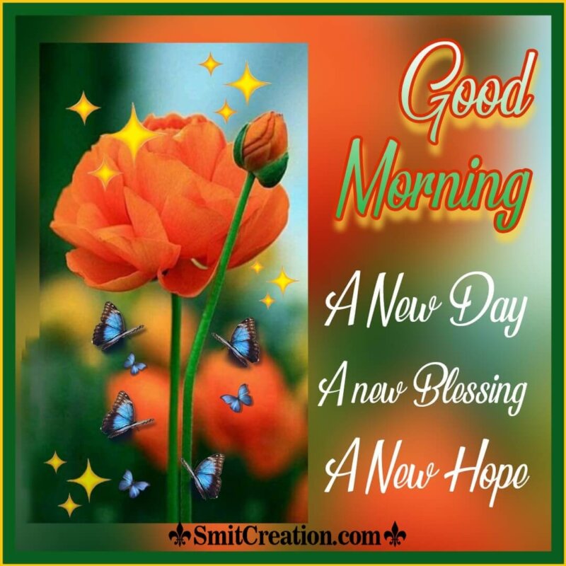 Good Morning New Day New Blessing New Hope - SmitCreation.com