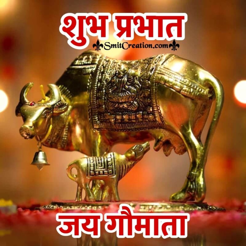 jay gau mata ki  ShareChat Photos and Videos