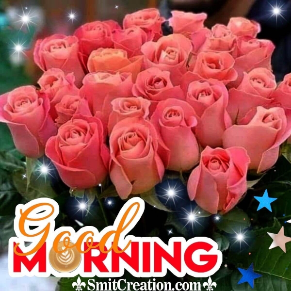 Good Morning Roses