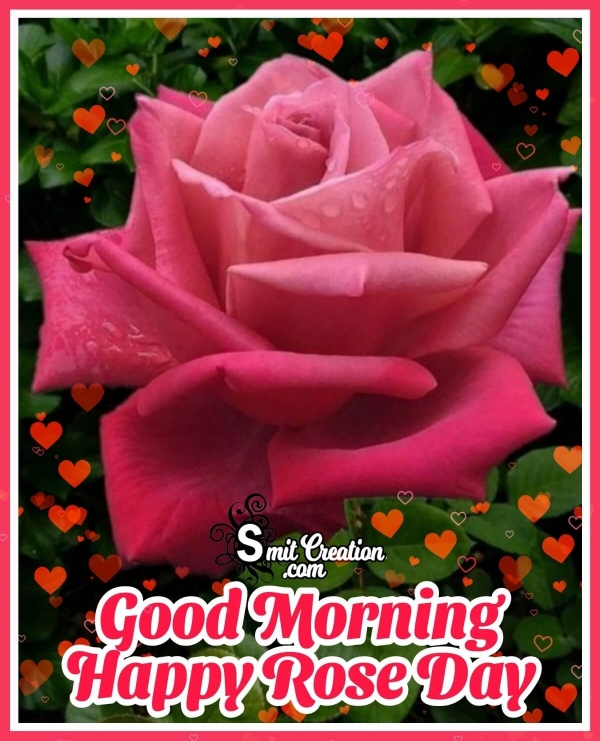 Good Morning Happy Rose Day Images