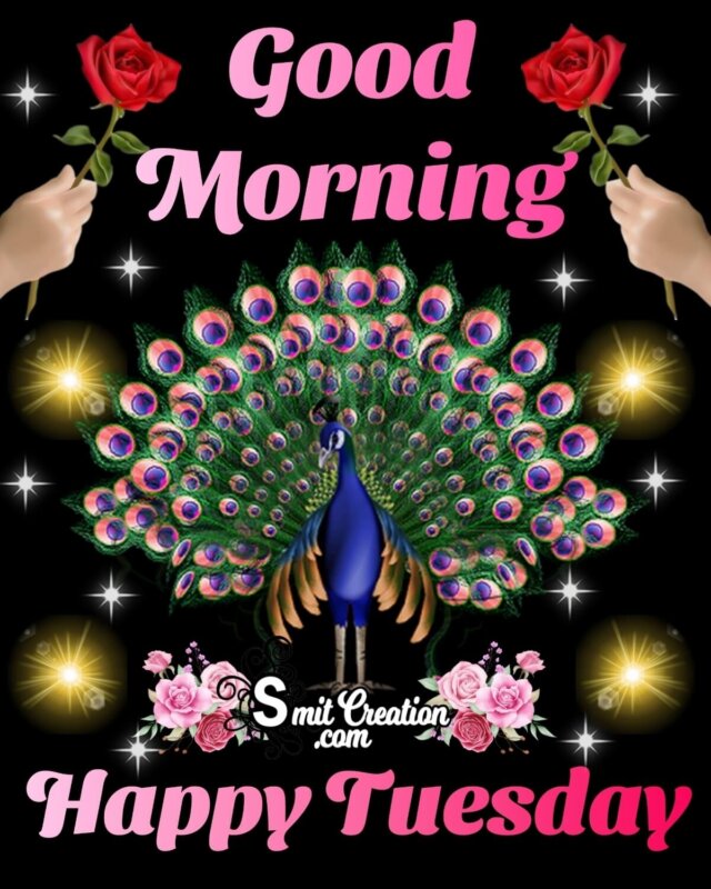 Good Morning Happy Tuesday Peacock Image - SmitCreation.com