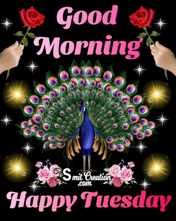 Good Morning Happy Tuesday Peacock Image