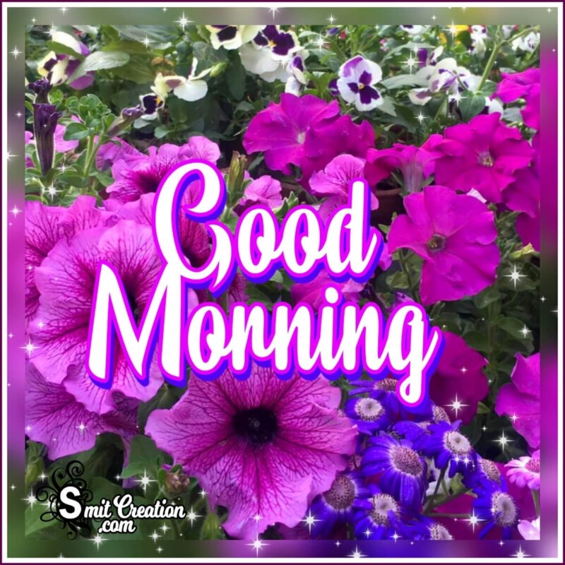 Good Morning Flowers Images - SmitCreation.com