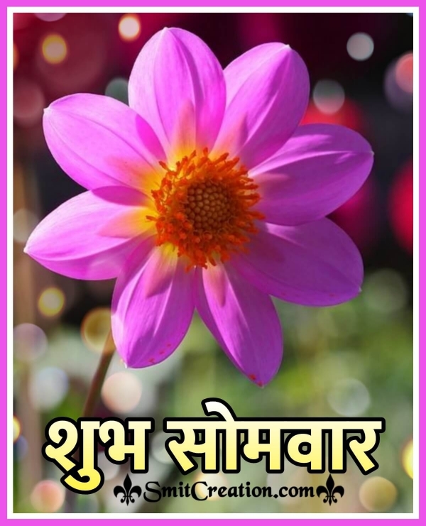 Shubh Somvar Flower Image