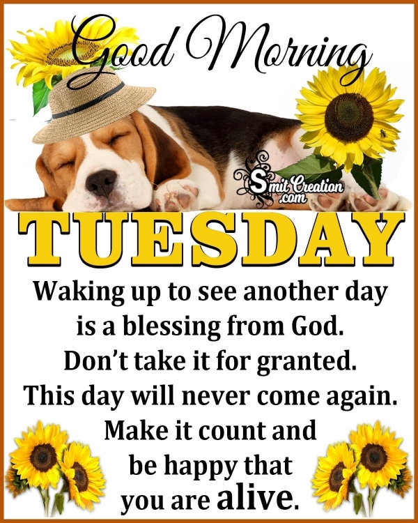 Good Morning Tuesday Blessing Quote