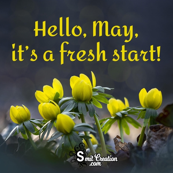 Hello May Its A Fresh Start