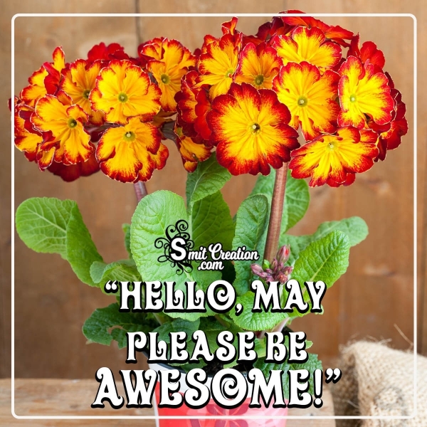 Hello May Please Be Awsome