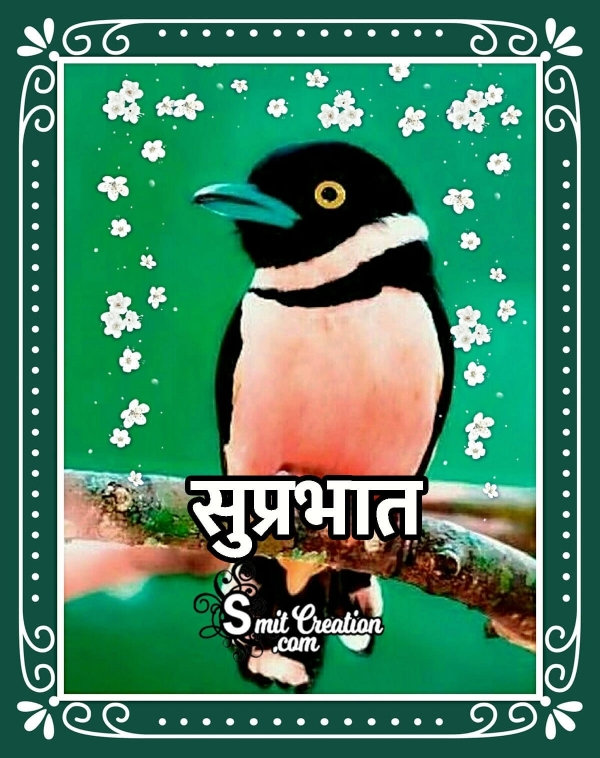 Suprabhat Bird