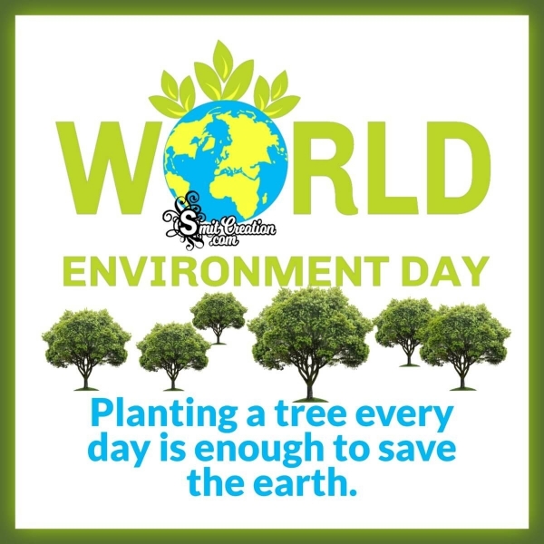 World Environment Day Pic