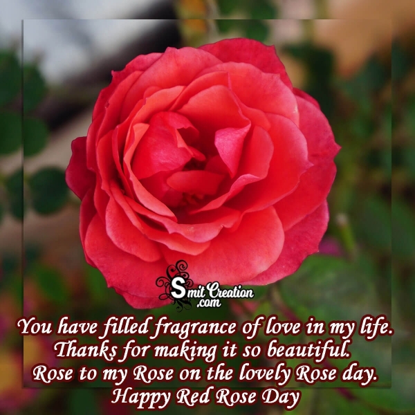 Happy Red Rose Day Message To Wife