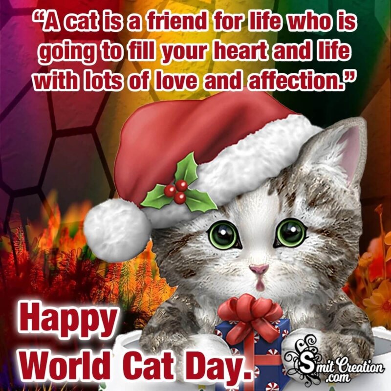International Cat Day Quotes 