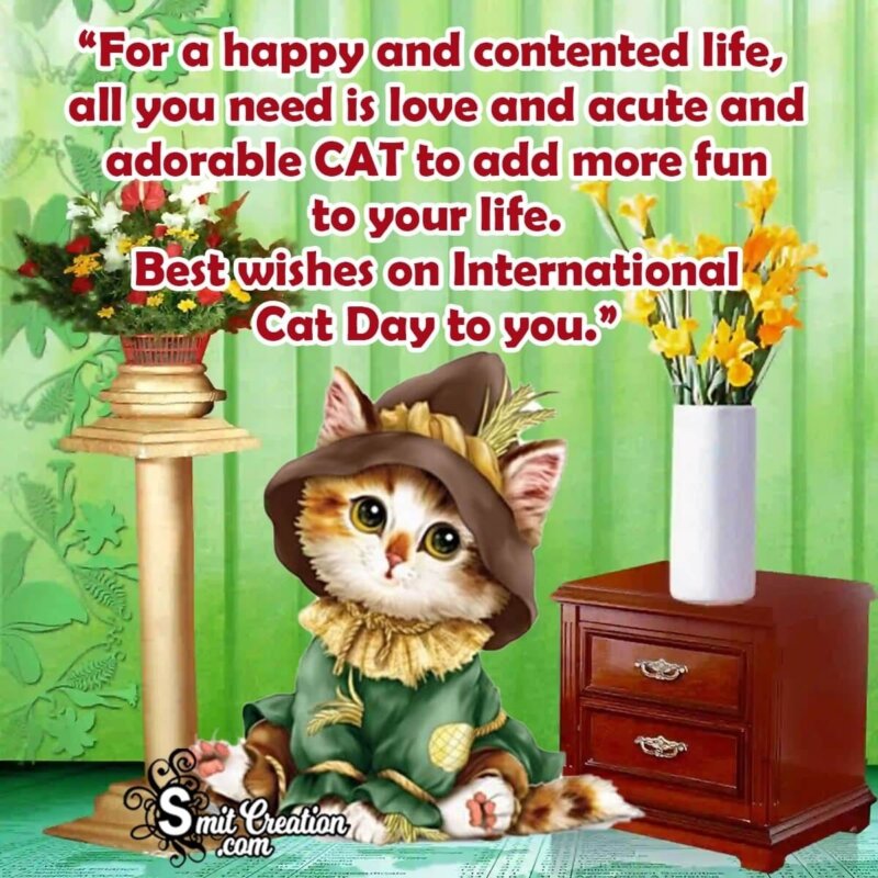 International Cat Day Wishes