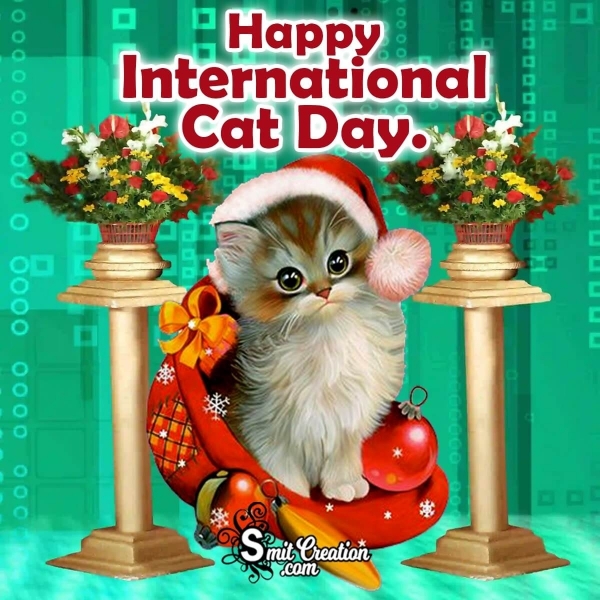 Happy International Cat Day