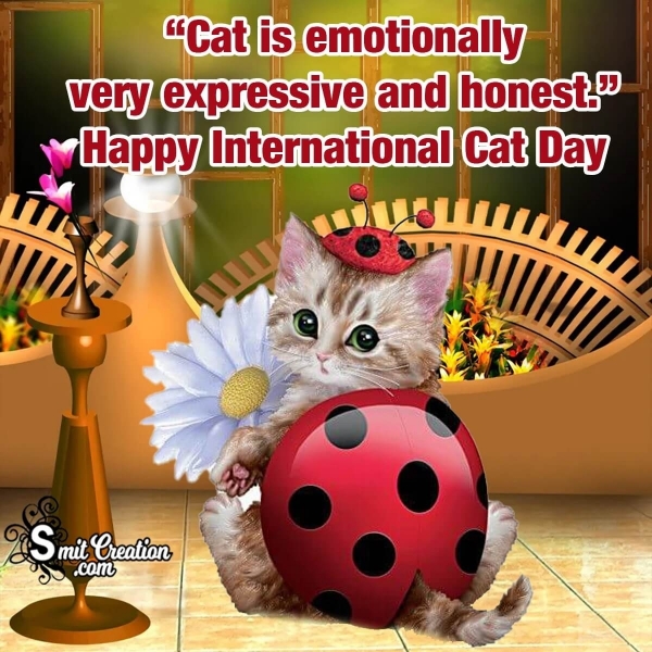 International Cat Day Slogans