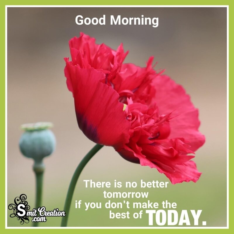 Good Morning Better Tomorrow Quote - SmitCreation.com