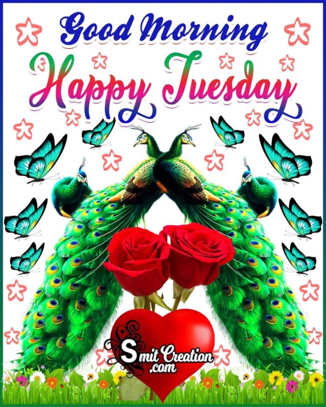 Happy Tuesday Good Morning - SmitCreation.com