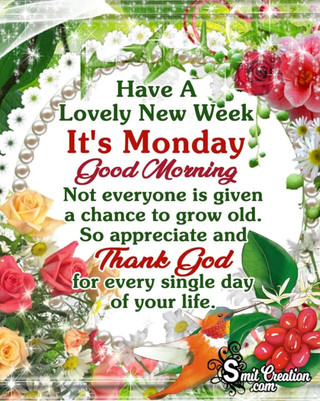 Have a Lovely New Week Its Monday - SmitCreation.com